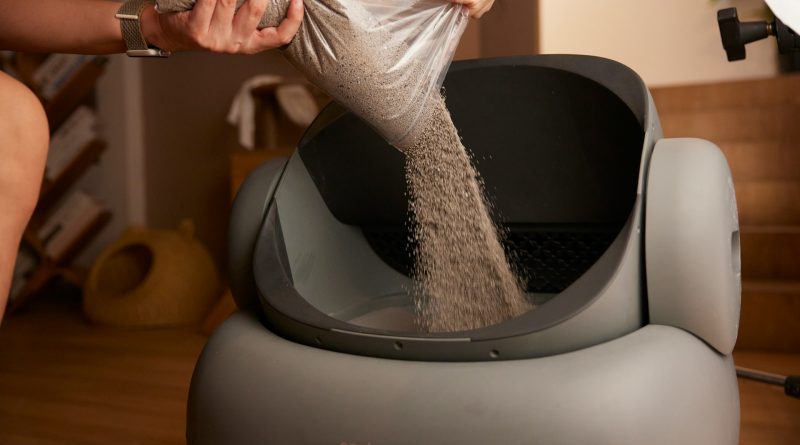 Къде да държим котешката тоалетна – практични съвети за чист и спокоен дом